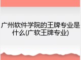 广州软件学院的王牌专业是什么(广软王牌专业)