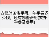安徽外国语学院一年学费多少钱，还有哪些费用(安外学费及费用)