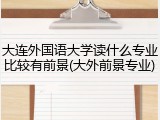 大连外国语大学读什么专业比较有前景(大外前景专业)