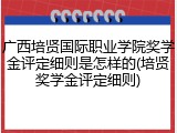 广西培贤国际职业学院奖学金评定细则是怎样的(培贤奖学金评定细则)