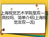上海视觉艺术学院是双一流高校吗，简单介绍(上海视觉非双一流)