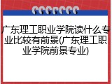 广东理工职业学院读什么专业比较有前景(广东理工职业学院前景专业)