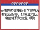 云南医药健康职业学院有没有就业指导，好就业吗(云南医健职院就业指导)