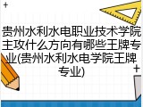 贵州水利水电职业技术学院主攻什么方向有哪些王牌专业(贵州水利水电学院王牌专业)