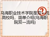 乌海职业技术学院是双一流高校吗，简单介绍(乌海职院双一流吗)