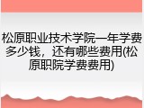 松原职业技术学院一年学费多少钱，还有哪些费用(松原职院学费费用)
