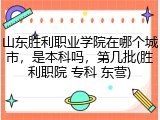 山东胜利职业学院在哪个城市，是本科吗，第几批(胜利职院 专科 东营)