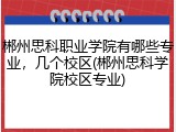 郴州思科职业学院有哪些专业，几个校区(郴州思科学院校区专业)