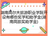 湖南高尔夫旅游职业学院开设有哪些奖学和助学金(湖南高旅奖助学金)