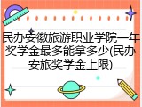 民办安徽旅游职业学院一年奖学金最多能拿多少(民办安旅奖学金上限)