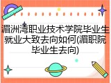 湄洲湾职业技术学院毕业生就业大致去向如何(湄职院毕业生去向)