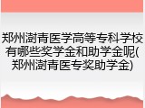 郑州澍青医学高等专科学校有哪些奖学金和助学金呢(郑州澍青医专奖助学金)