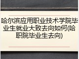 哈尔滨应用职业技术学院毕业生就业大致去向如何(哈职院毕业生去向)