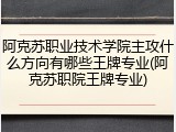 阿克苏职业技术学院主攻什么方向有哪些王牌专业(阿克苏职院王牌专业)