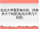 东北大学是否有分校，共有多少个校区(东北大学几个校区)