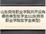 山东商务职业学院共开设有哪些类型奖学金(山东商务职业学院奖学金类型)