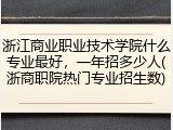 浙江商业职业技术学院什么专业最好，一年招多少人(浙商职院热门专业招生数)
