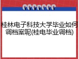 桂林电子科技大学毕业如何调档案呢(桂电毕业调档)
