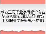 潍坊工商职业学院哪个专业毕业就业前景比较好(潍坊工商职业学院好就业专业)