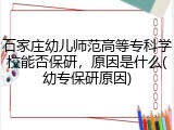 石家庄幼儿师范高等专科学校能否保研，原因是什么(幼专保研原因)