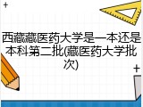 西藏藏医药大学是一本还是本科第二批(藏医药大学批次)
