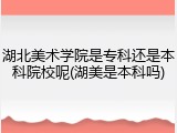 湖北美术学院是专科还是本科院校呢(湖美是本科吗)