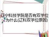 辽宁科技学院是否有双学位，为什么(辽科双学位原因)