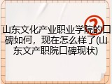 山东文化产业职业学院的口碑如何，现在怎么样了(山东文产职院口碑现状)