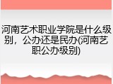 河南艺术职业学院是什么级别，公办还是民办(河南艺职公办级别)