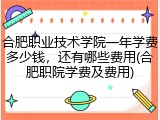 合肥职业技术学院一年学费多少钱，还有哪些费用(合肥职院学费及费用)