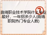 曲靖职业技术学院什么专业最好，一年招多少人(曲靖职院热门专业人数)