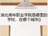 湖北青年职业学院是哪里的学校，在哪个城市()