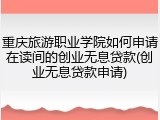 重庆旅游职业学院如何申请在读间的创业无息贷款(创业无息贷款申请)