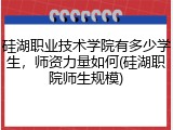 硅湖职业技术学院有多少学生，师资力量如何(硅湖职院师生规模)