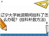辽宁大学就读期间挂科了怎么办呢？(挂科补救方法)