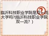 临沂科技职业学院是双一流大学吗?(临沂科技职业学院双一流？)