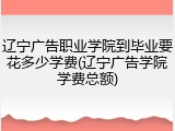 辽宁广告职业学院到毕业要花多少学费(辽宁广告学院学费总额)