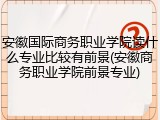 安徽国际商务职业学院读什么专业比较有前景(安徽商务职业学院前景专业)