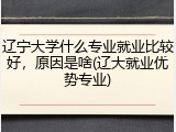 辽宁大学什么专业就业比较好，原因是啥(辽大就业优势专业)