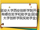 延安大学西安创新学院开设有哪些奖学和助学金(延安大学创新学院奖助学金)