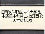 江西软件职业技术大学是一本还是本科第二批(江西软大本科批次)