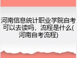 河南信息统计职业学院自考可以去读吗，流程是什么(河南自考流程)