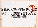 湖北艺术职业学院招生编码多少，隶属哪个部门(湖艺招编码归属)
