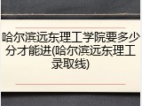 哈尔滨远东理工学院要多少分才能进(哈尔滨远东理工录取线)