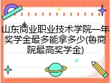 山东商业职业技术学院一年奖学金最多能拿多少(鲁商院最高奖学金)