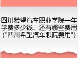 四川希望汽车职业学院一年学费多少钱，还有哪些费用("四川希望汽车职院费用")