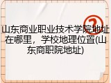 山东商业职业技术学院地址在哪里，学校地理位置(山东商职院地址)