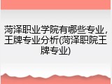 菏泽职业学院有哪些专业，王牌专业分析(菏泽职院王牌专业)