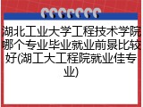 湖北工业大学工程技术学院哪个专业毕业就业前景比较好(湖工大工程院就业佳专业)