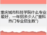 重庆城市科技学院什么专业最好，一年招多少人("重科热门专业招生数")